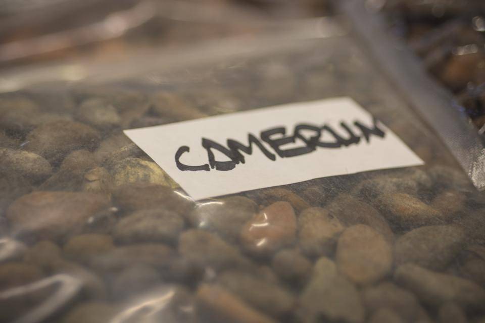 Habas cacao Camerún