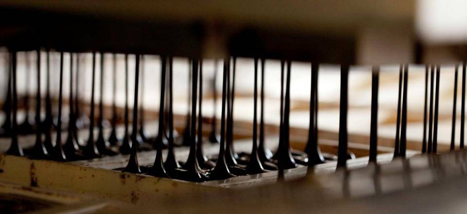 El sabor del talento